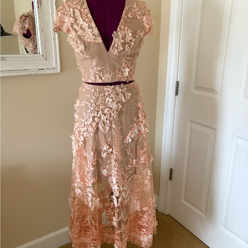 Dress the Population Juliana dress, XS in Nude/Blush.  Wedding guest!